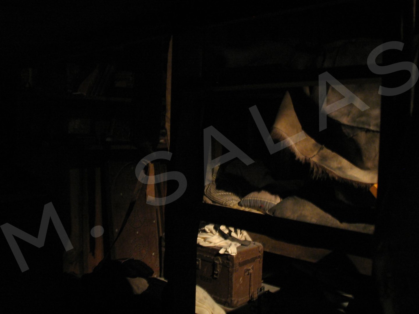 El lenguaje de las sombras